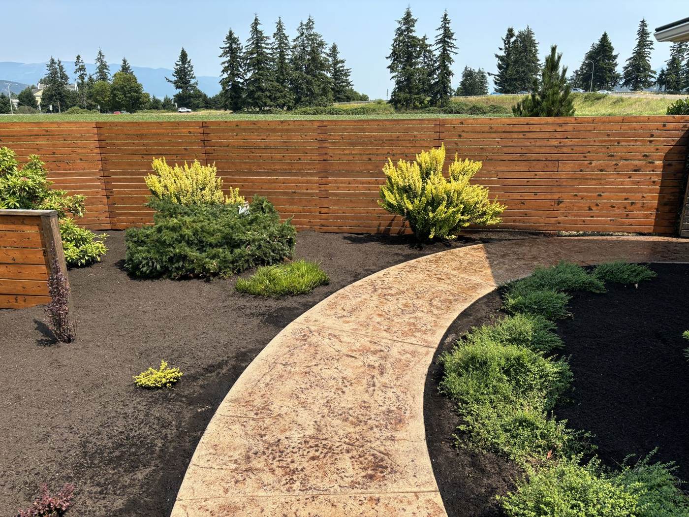 Front yard landscaping transformation
